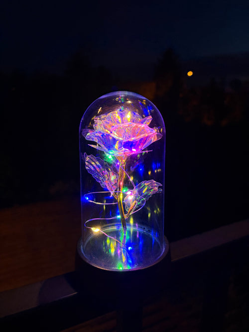 Wieczna róża LED